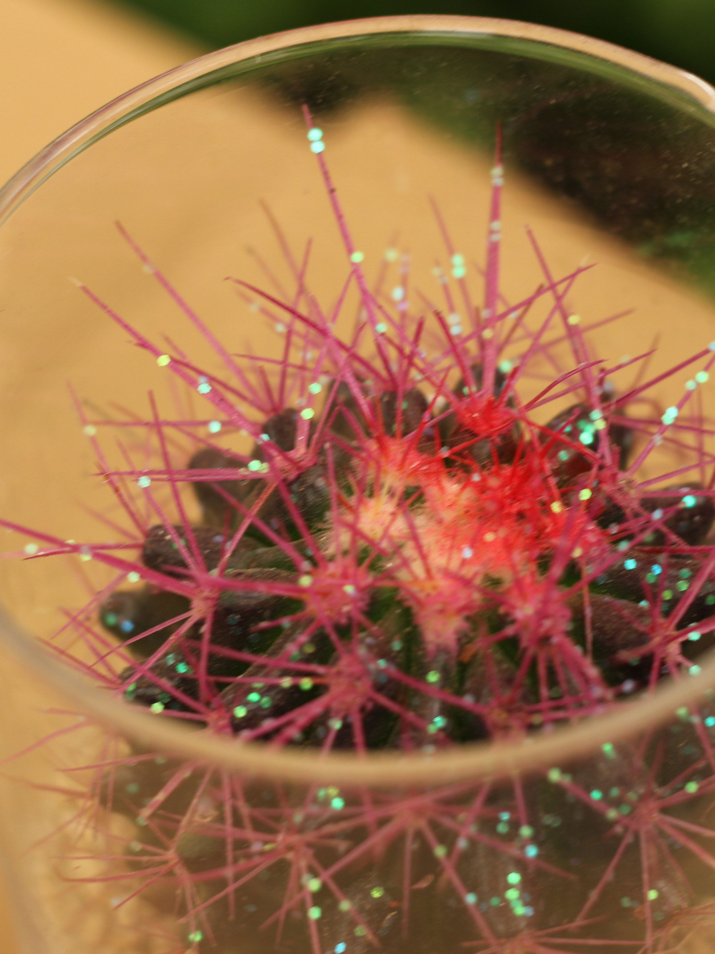 Glitter Cactus Tabletop Gift