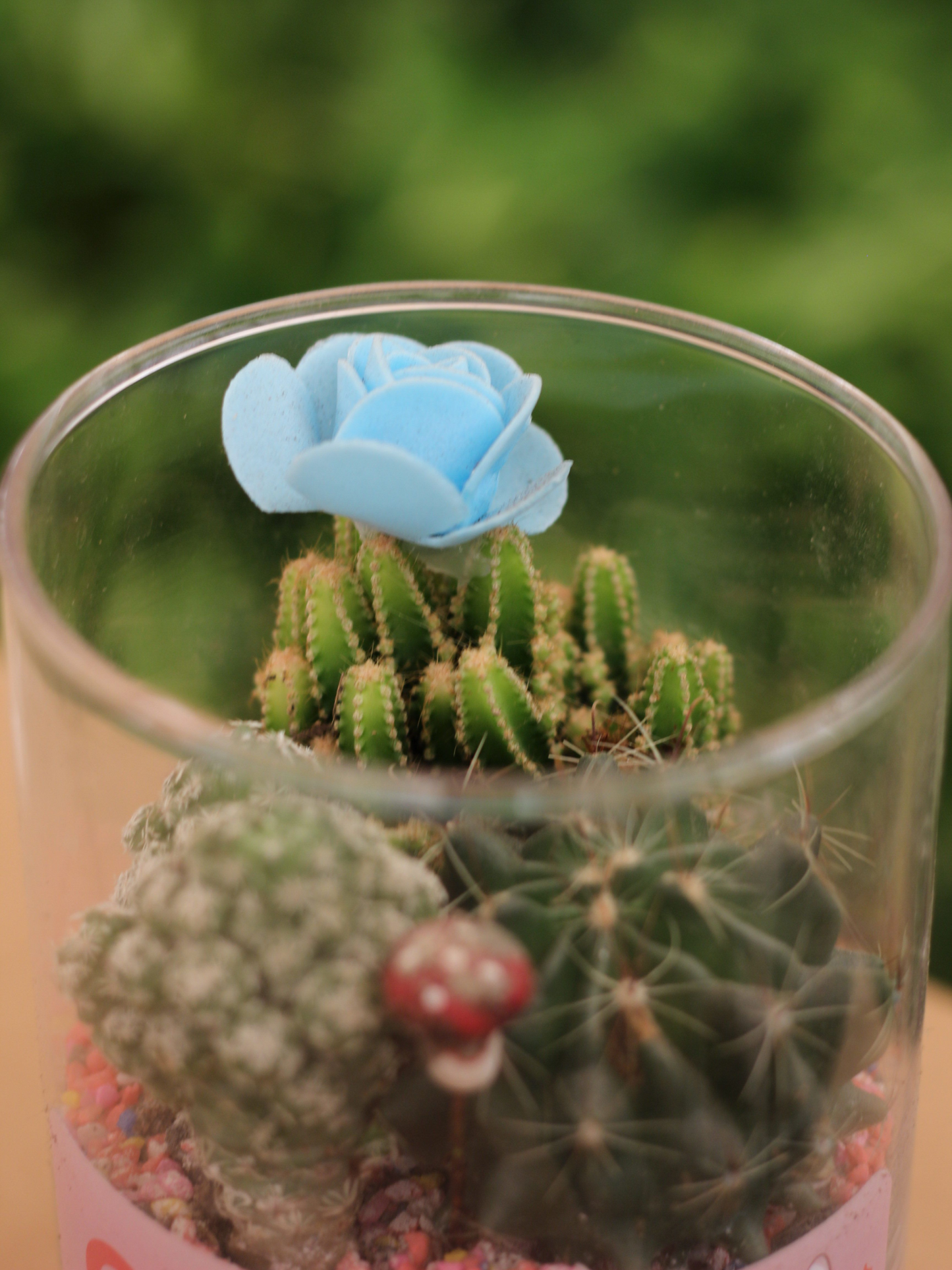 Glitter Cactus Tabletop Gift