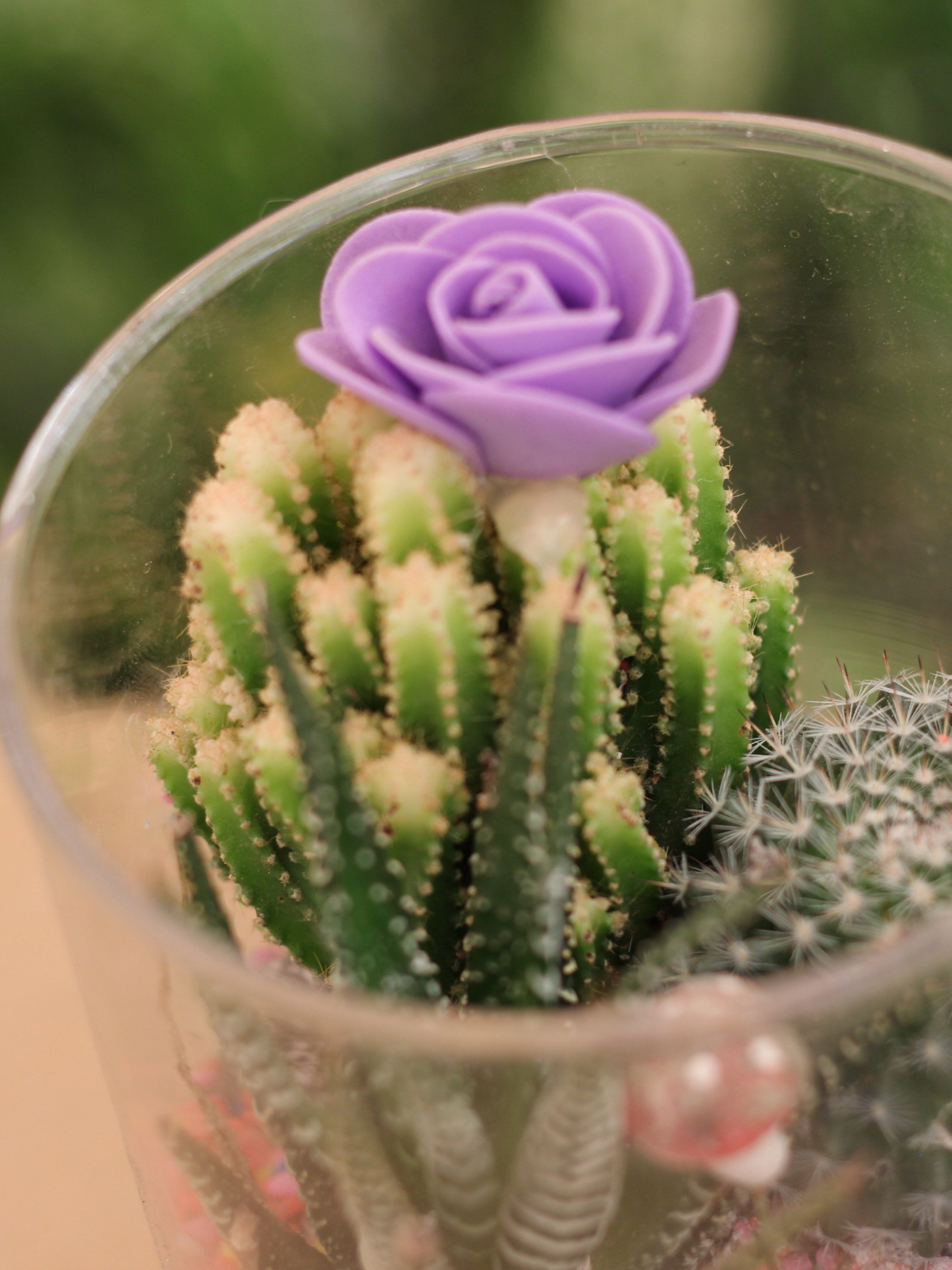 Glitter Cactus Tabletop Gift