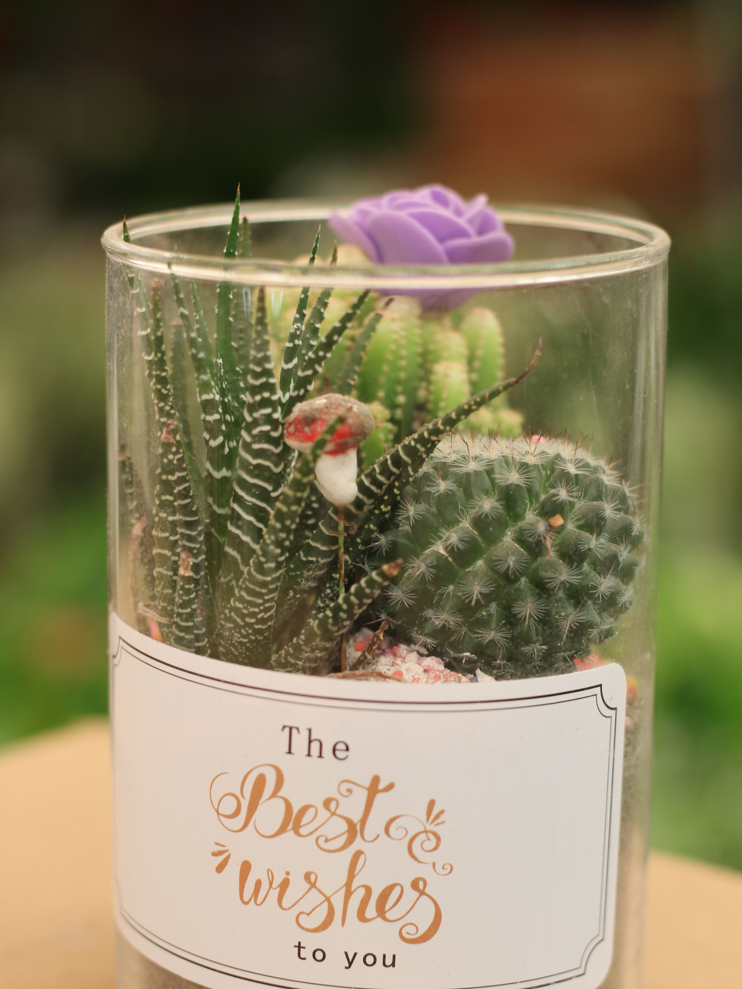 Glitter Cactus Tabletop Gift