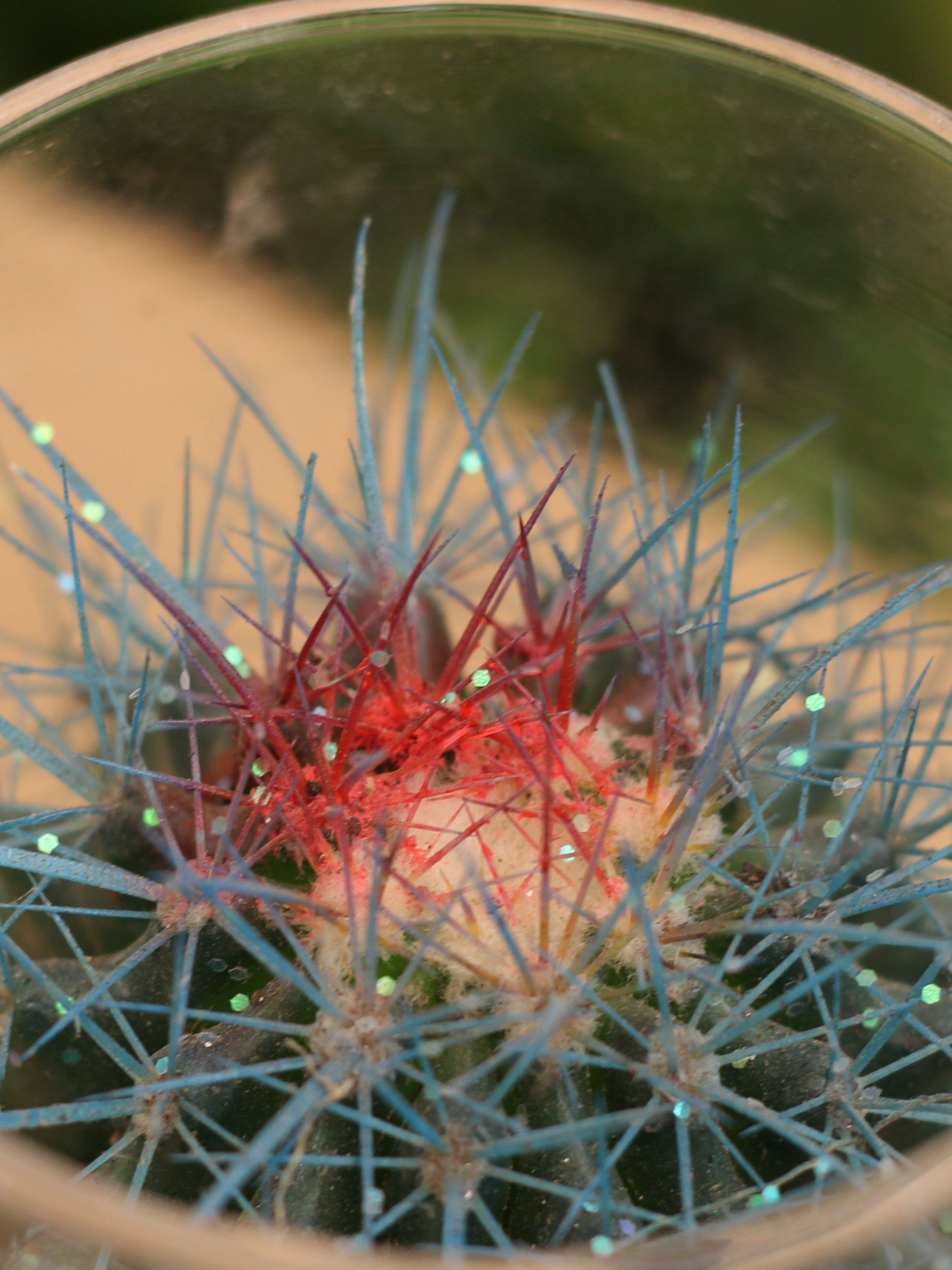 Glitter Cactus Tabletop Gift