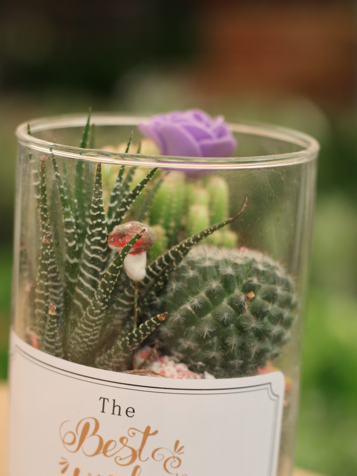 Glitter Cactus Tabletop Gift
