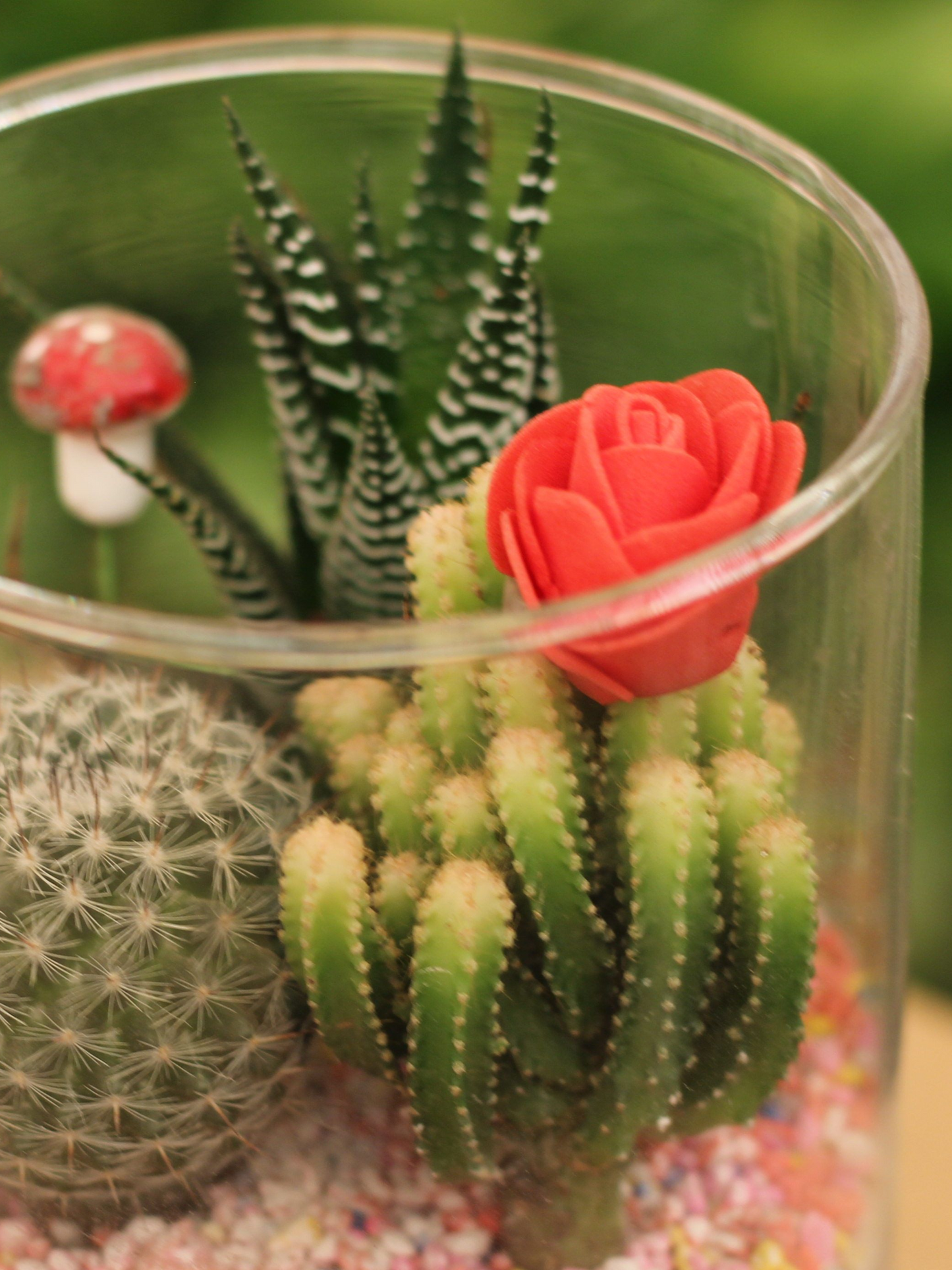 Glitter Cactus Tabletop Gift