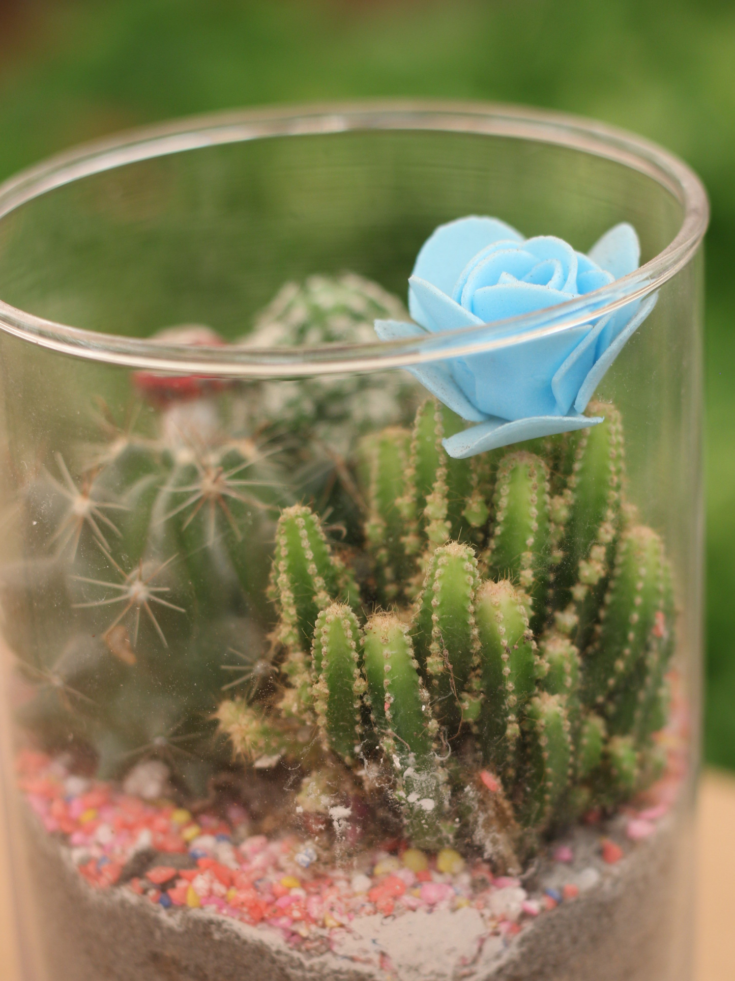 Glitter Cactus Tabletop Gift