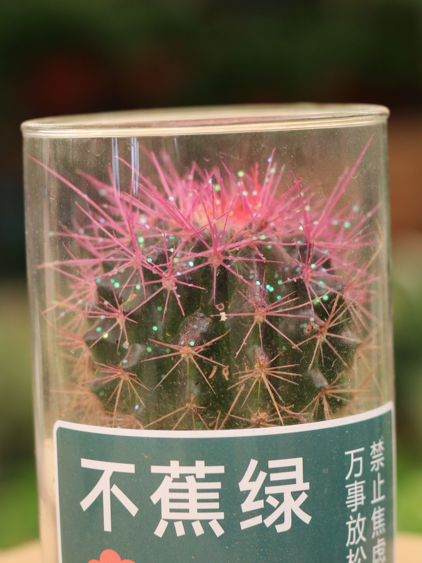 Glitter Cactus Tabletop Gift