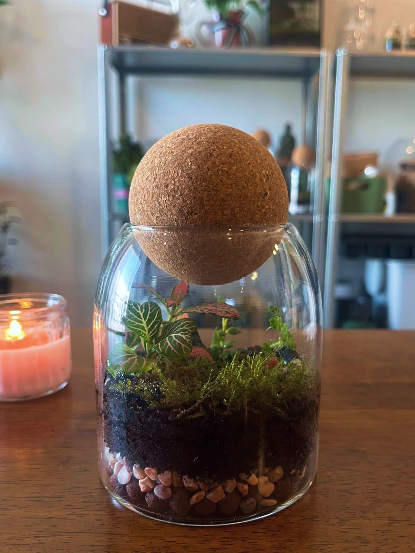 Terrarium with a cork stopper on a wooden surface- dubai-lilli plants