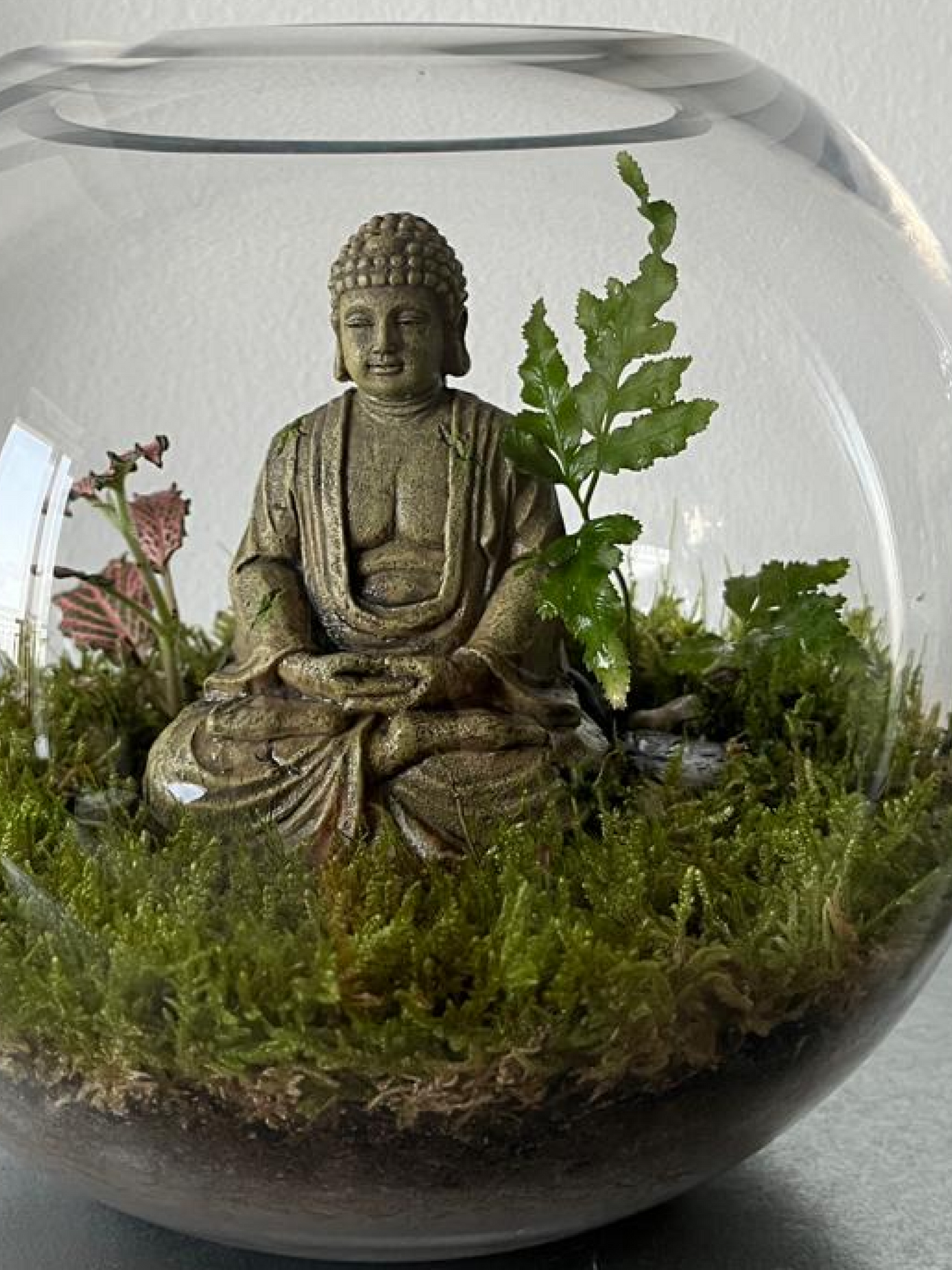 Handcrafted terrarium with Buddha statue surrounded by indoor greenery. buy in Dubai