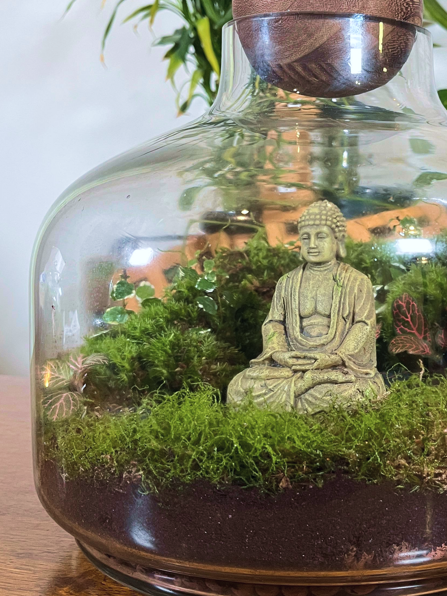 Stylish and serene Buddha terrarium by Lilli Plants, enhancing any living room or office space.