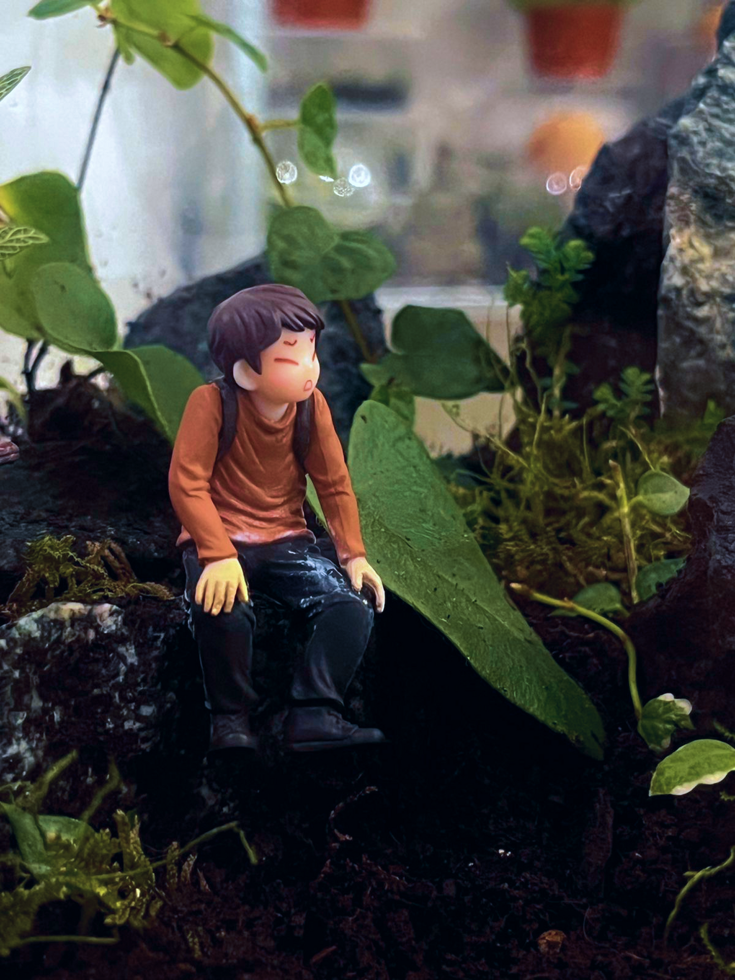 Lilli Plants Dubai custom-made terrarium showcasing adventure-themed landscape and vibrant moss