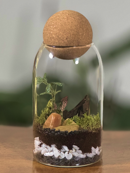 Terrarium in a glass bottle with a cork lid on a wooden surface Dubai