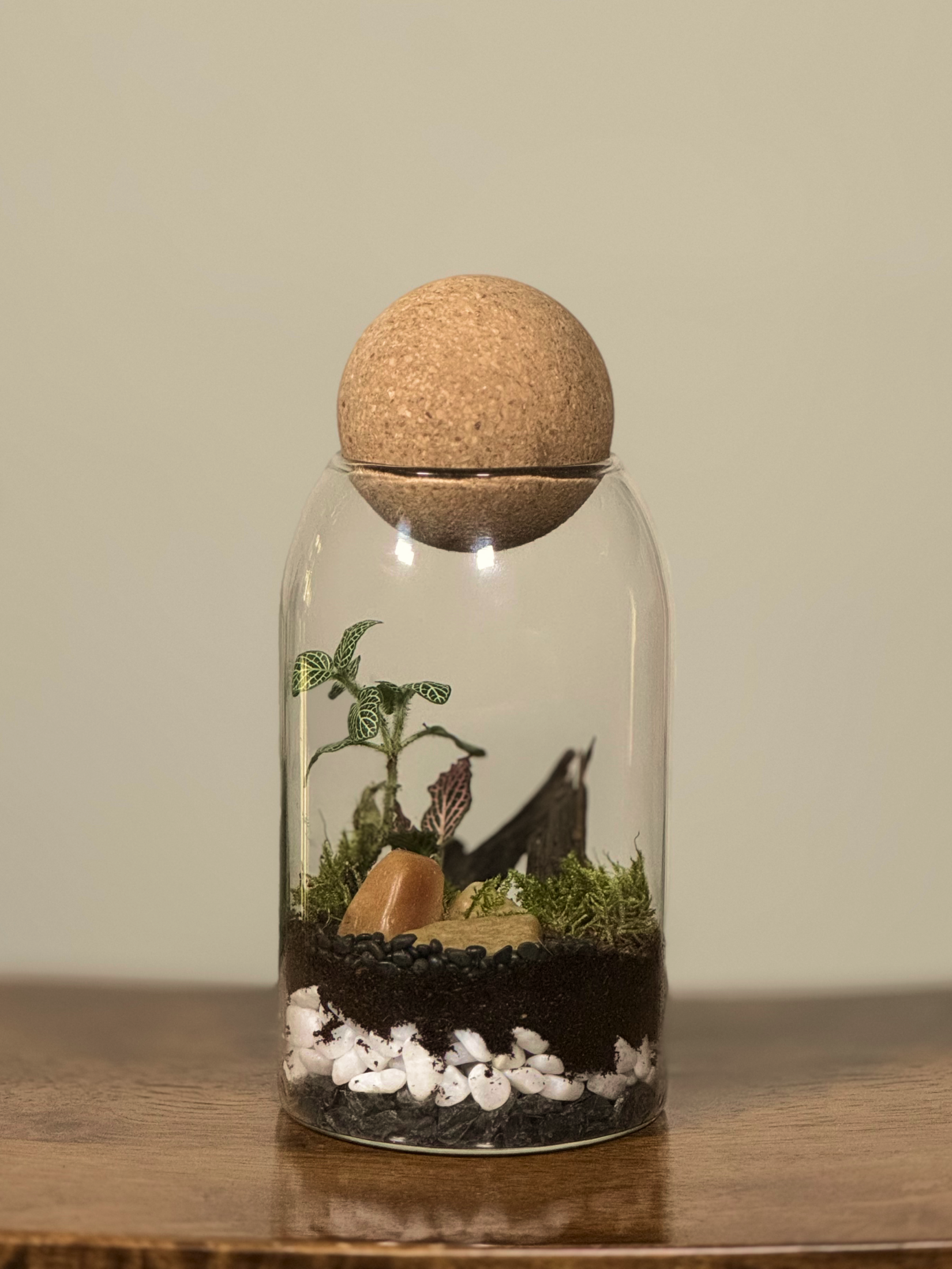 Glass terrarium with plants, rocks, and a cork lid on a wooden surface. buy in Dubai