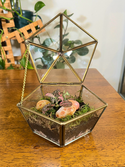 Premium vintage glass terrarium for home and office décor in Dubai and the UAE