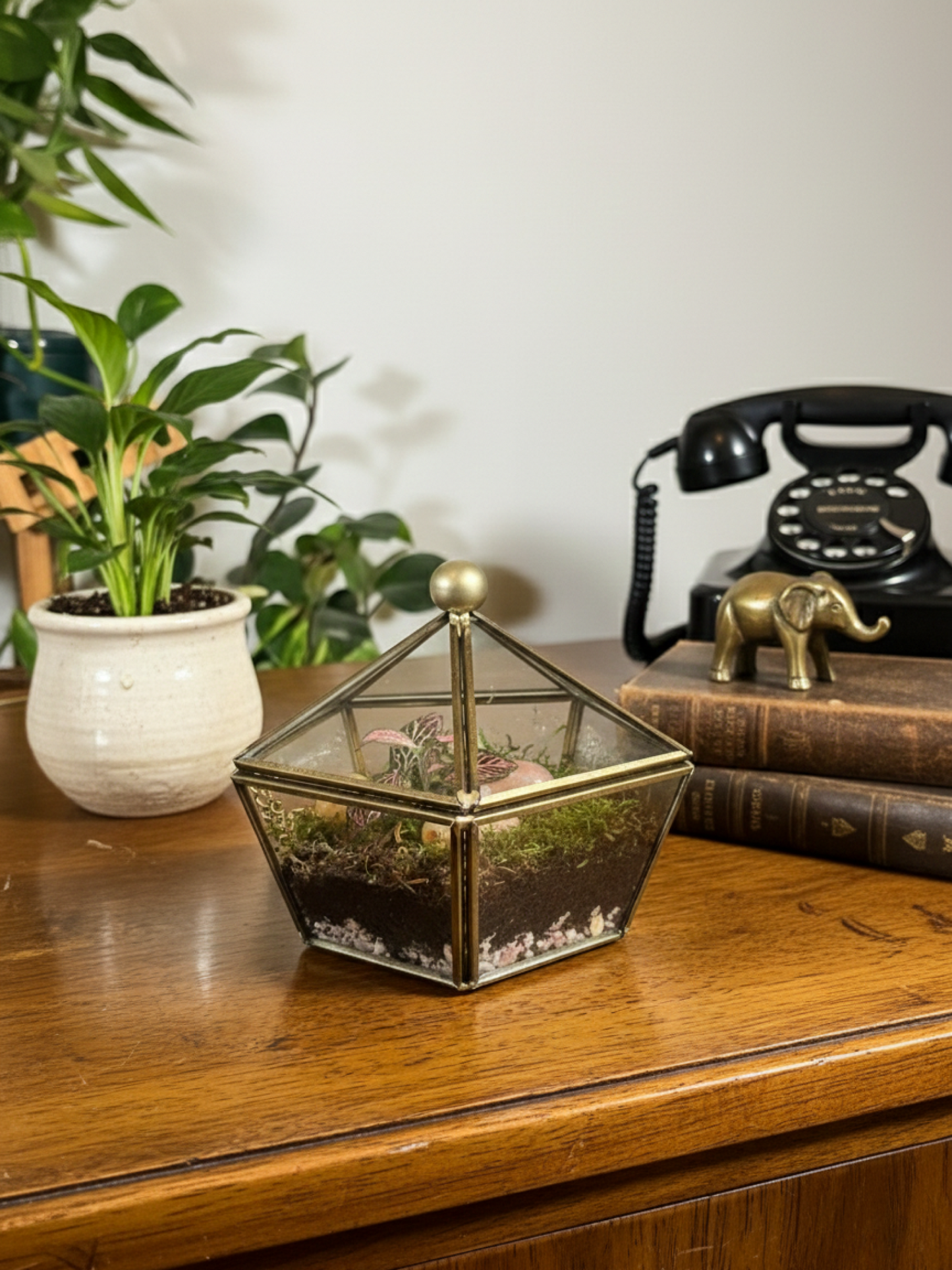 Vintage pentagonal glass terrarium for luxury indoor décor and green gifting in Dubai UAE