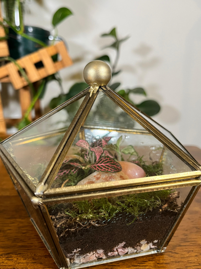 Luxury indoor plant terrarium in vintage glass design for gifting in UAE