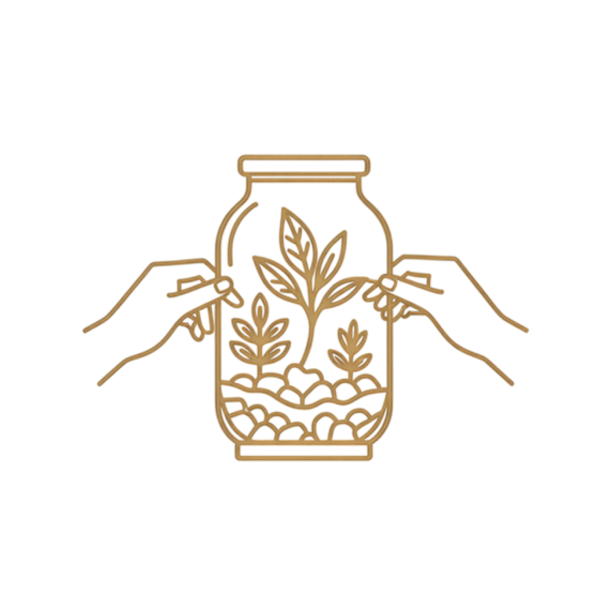 Lilli Plant best artist and craftmanship in dubai for indoor plant styling and terrarium creations
