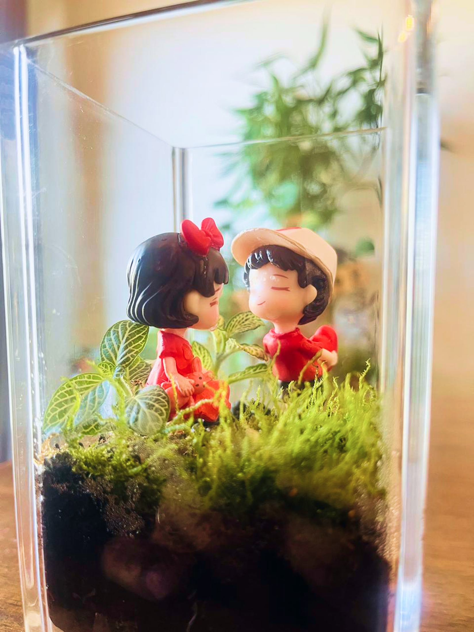 Lilli Plants Birthday Love Terrarium  — Perfect romantic birthday present