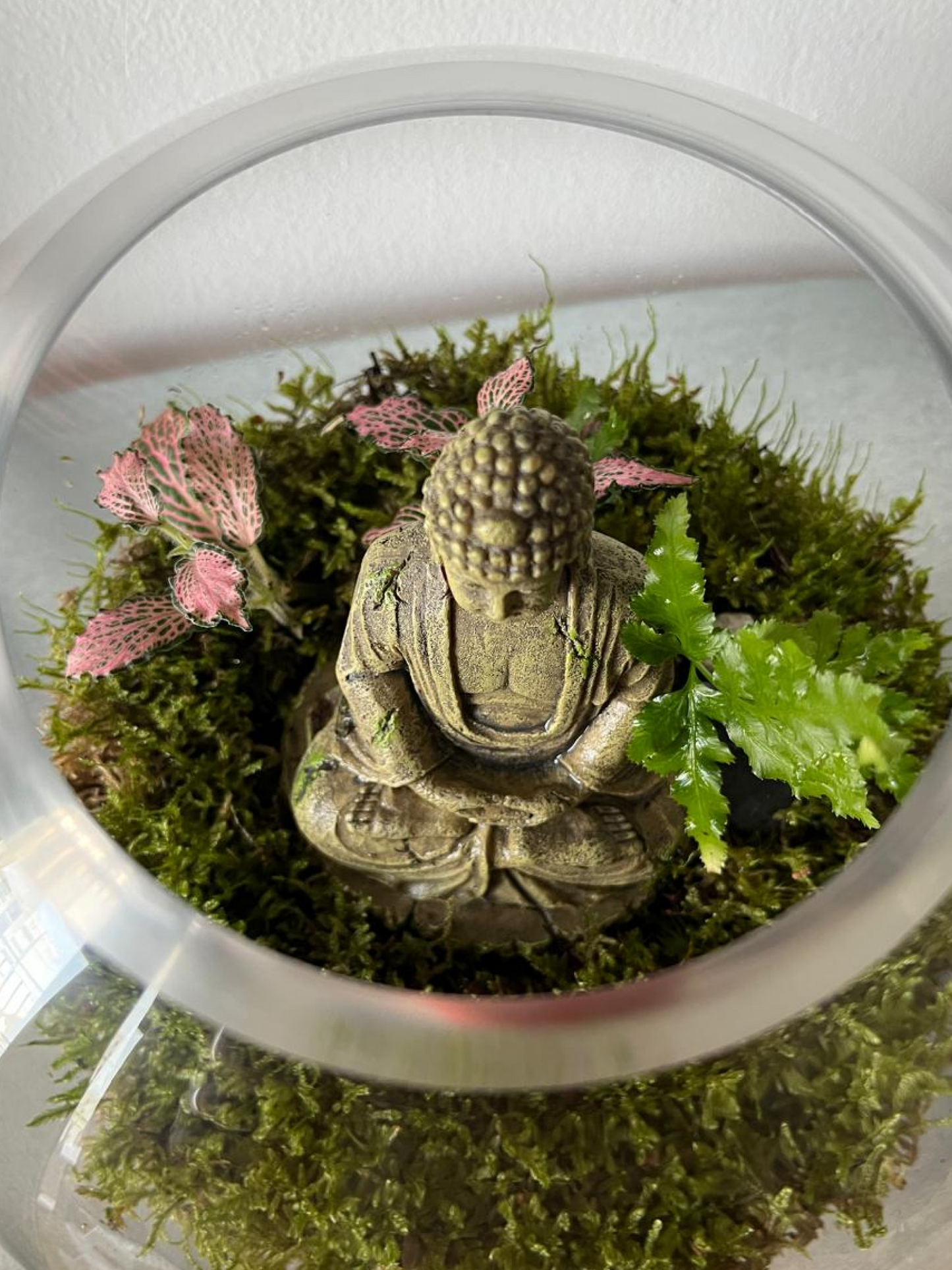 Meditating Buddha Terrarium Dubai