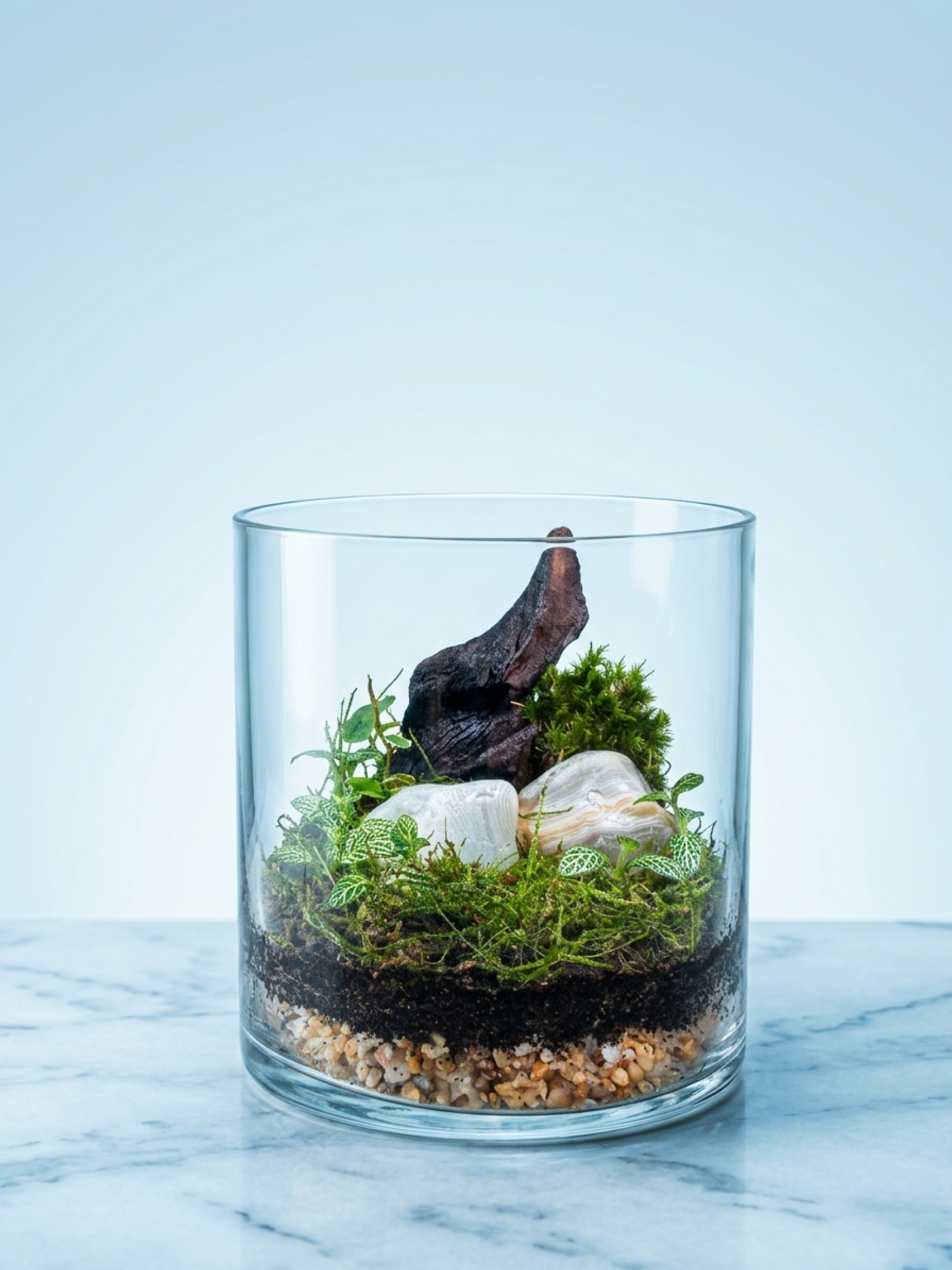 tabletop zen terrarium with cushion moss flat moss and driftwood- best for office table