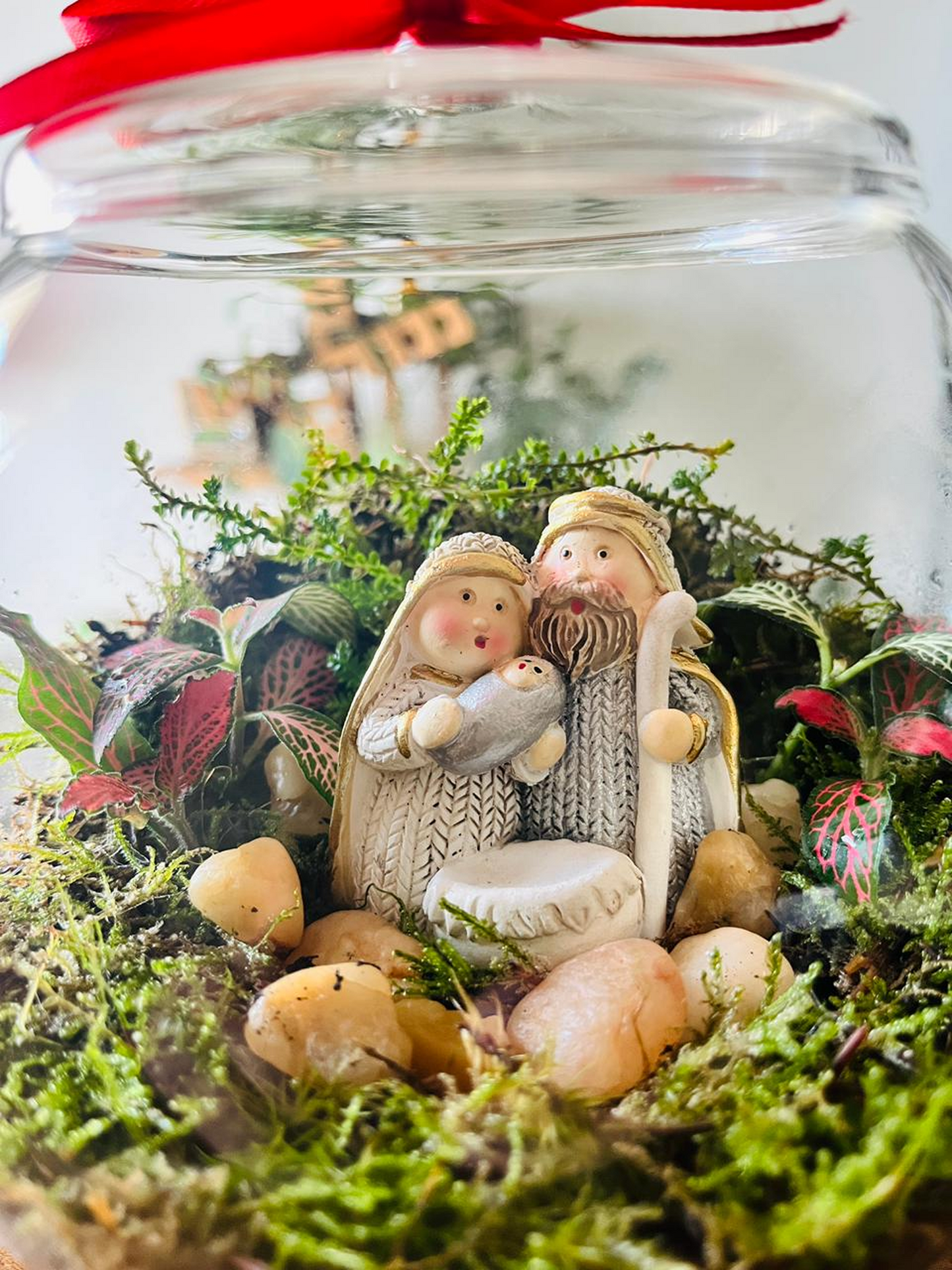 Living Christmas terrarium with multi-colored substrate layers, decorative pebbles, and Selaginella