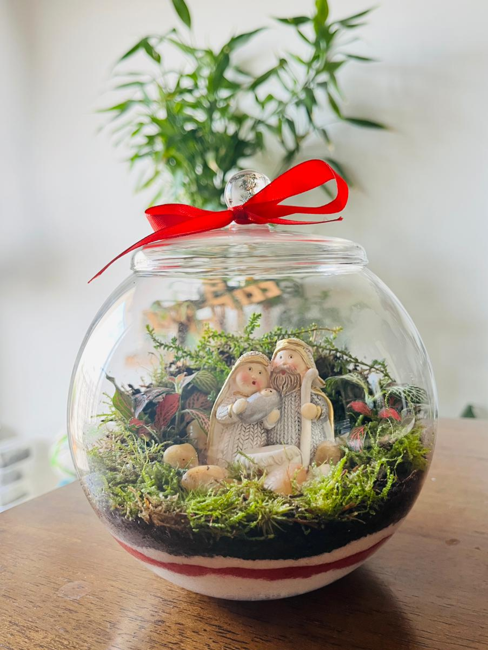 Handcrafted Christmas Blessings Terrarium – a natural, sustainable alternative Christmas gift by Lilli Plants