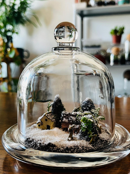 Festive Mini Christmas Haven Terrarium with Selaginella, natural moss, and tiny pine trees in glass dome, sustainable holiday décor Dubai.