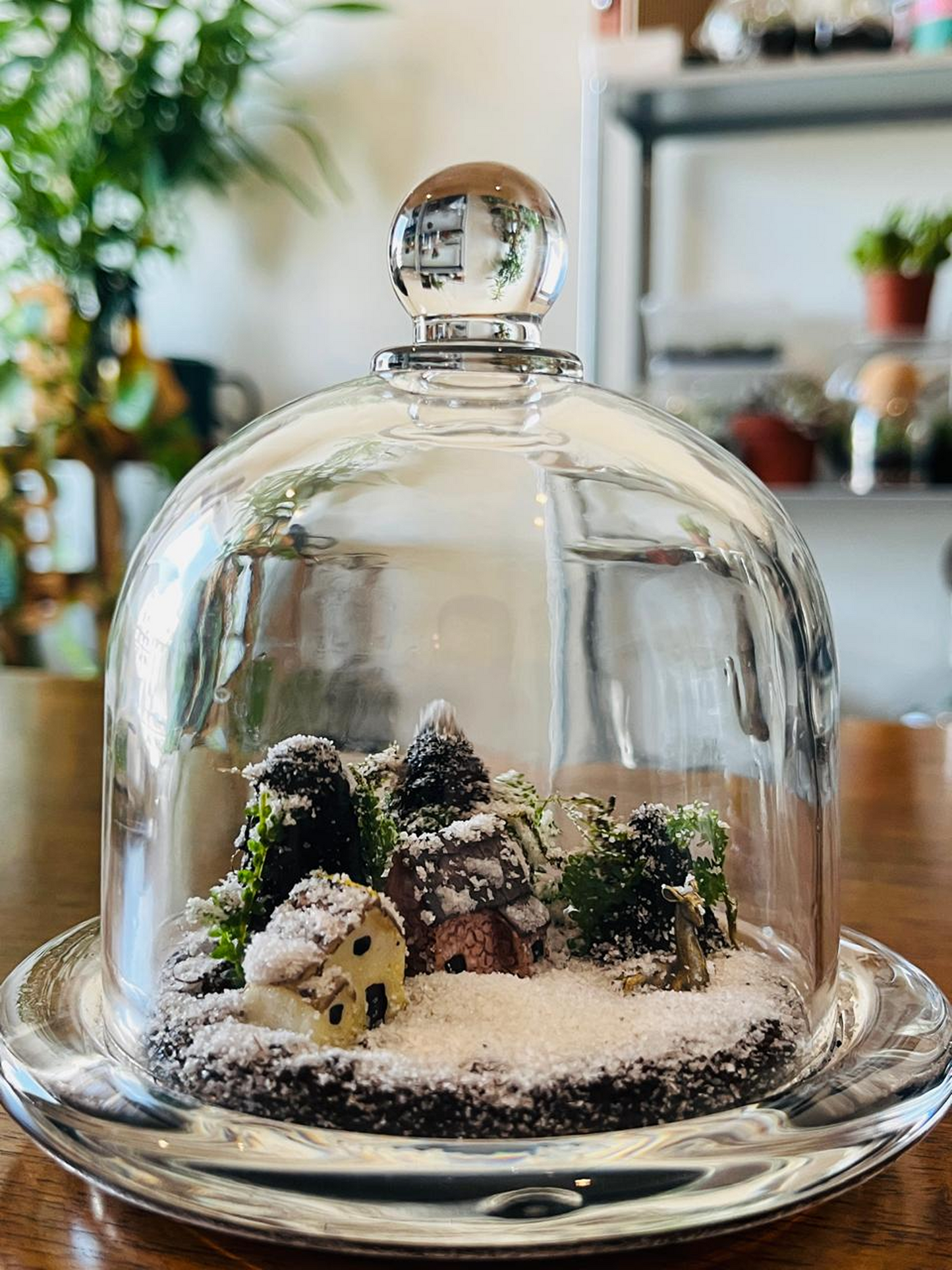 Handcrafted Christmas terrarium featuring Selaginella forest, moss, and festive cottage under glass dome – ideal gift for Christmas in UAE.