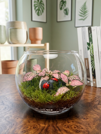 Stylish mini terrarium bowl with premium moss and Fittonia red. Great for home décor, office styling and gifting in UAE.