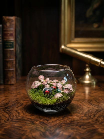 Elegant mini terrarium with vibrant Fittonia and moss. A perfect gift and indoor décor piece by Lilli Plants Dubai.