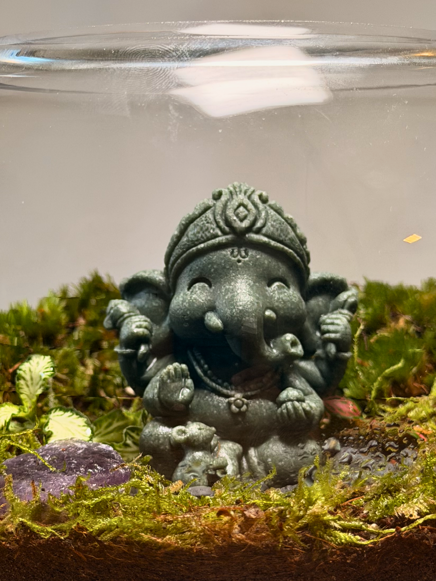 Buy handcrafted Ganesha moss terrarium online in Dubai from Lilli Plants.