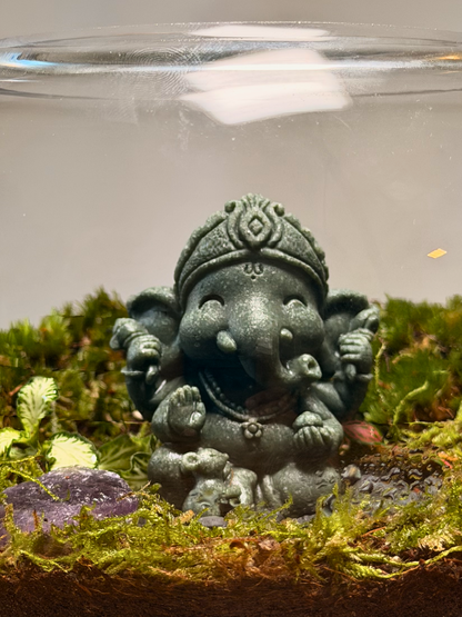 Buy handcrafted Ganesha moss terrarium online in Dubai from Lilli Plants.