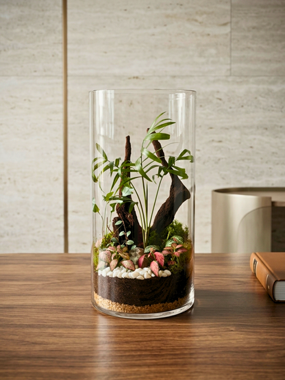 Handcrafted luxury cylinder terrarium by Lilli Plants with tropical plants and decorative pebbles.