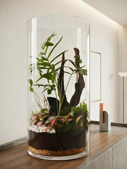 Large indoor glass terrarium Dubai with Parlor Palm, moss landscape, and premium terrarium soil.