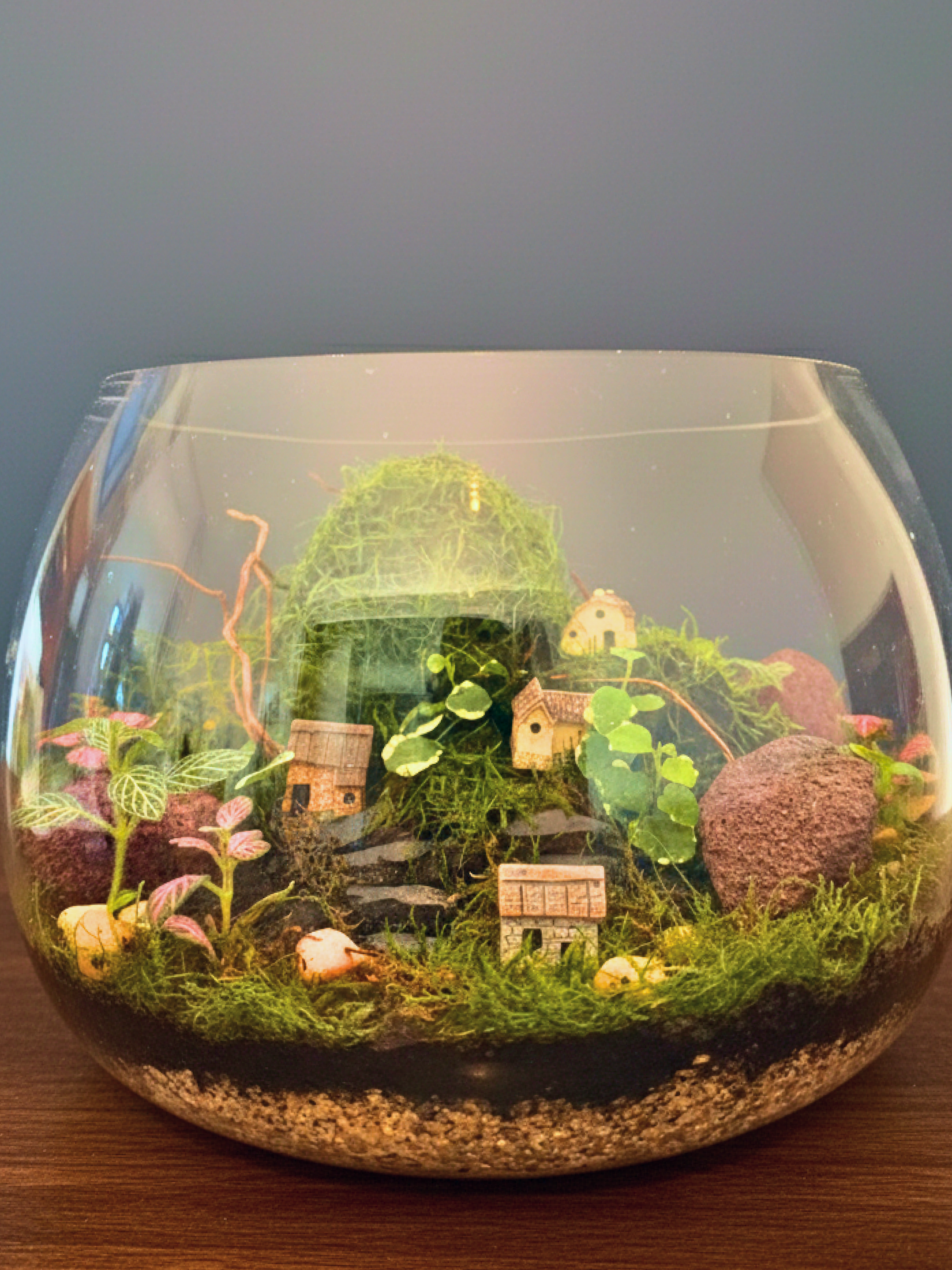 Layered terrarium soil with lava rocks and decorative pebbles for Evergreen Hamlet Terrarium