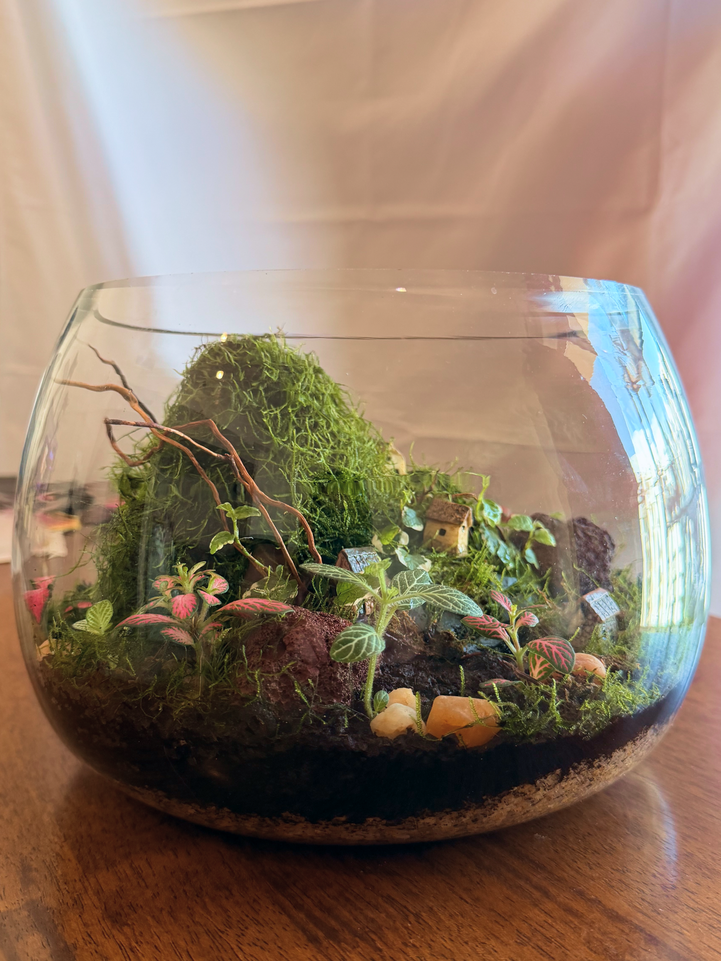 Premium flat moss and lush Java moss covering terrarium floor in Evergreen Hamlet design