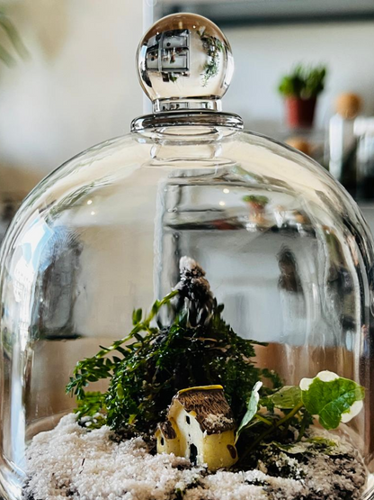 Lilli Plants Christmas glass dome terrarium featuring Selaginella, Ficus pumila, and snow accents – sustainable festive home décor - Buy Online Dubai