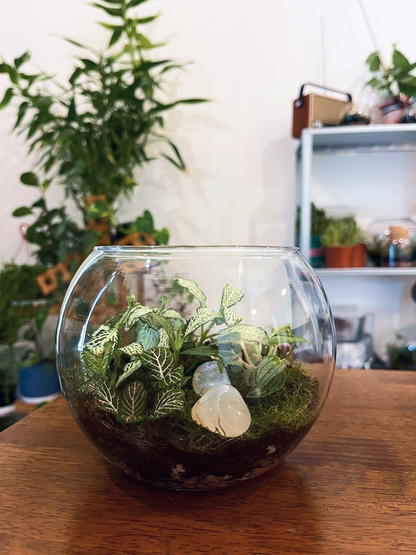 Buy Fortune Bloom Terrarium online in Dubai – elegant indoor plant arrangement symbolizing happiness and good fortune.