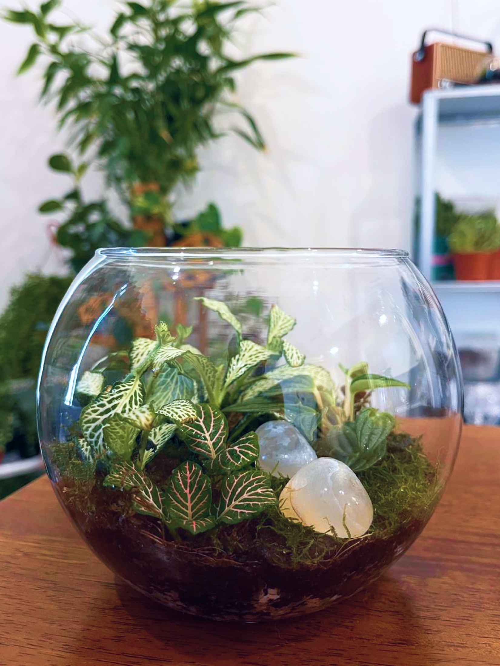 Handcrafted Fortune Bloom glass terrarium bringing calm and positivity to homes and offices in Dubai.