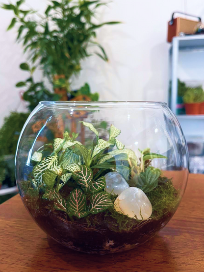 Handcrafted Fortune Bloom glass terrarium bringing calm and positivity to homes and offices in Dubai.