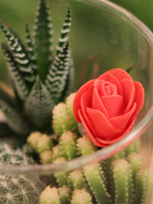 Glitter Cactus Tabletop Gift