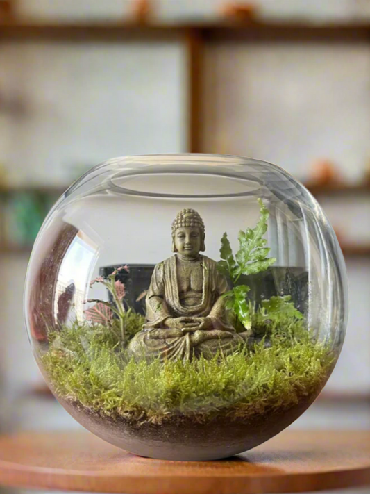 Meditating Buddha Terrarium