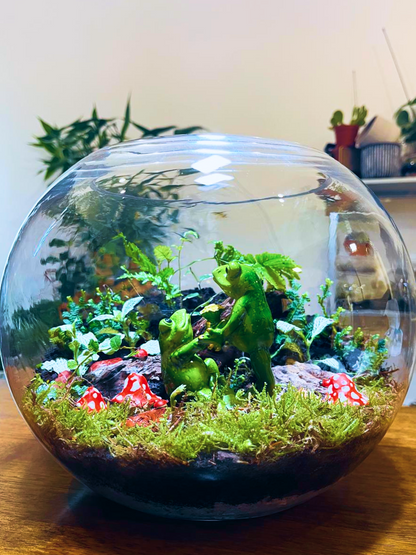 A symbolic couple-themed terrarium crafted with Fittonia, Ficus pumila, Selaginella, and ferns. Made by Lilli Plants, known for the best terrariums in Dubai and premium indoor plant creations.