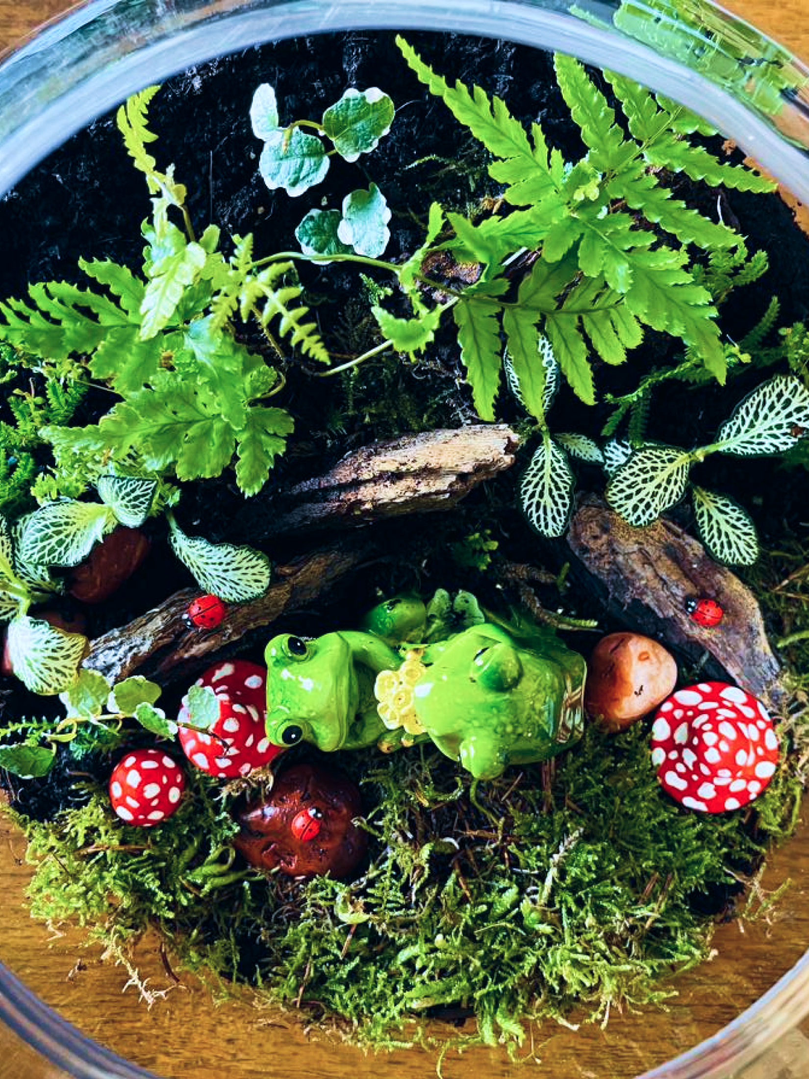 A magical miniature forest inside a bowl, featuring vibrant greenery and moss. A signature piece from Lilli Plants, offering the best indoor plants and best terrarium craftsmanship in Dubai.