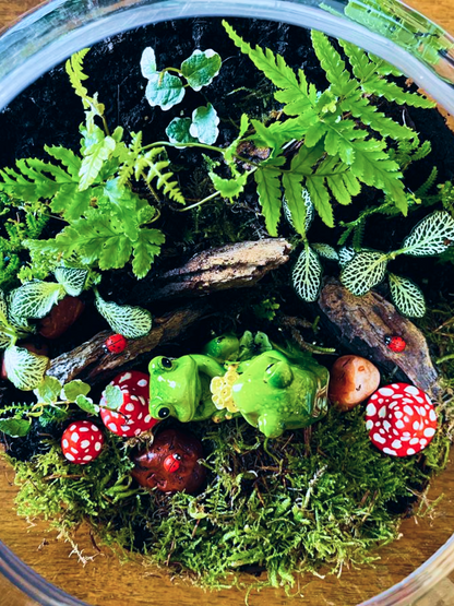 A magical miniature forest inside a bowl, featuring vibrant greenery and moss. A signature piece from Lilli Plants, offering the best indoor plants and best terrarium craftsmanship in Dubai.