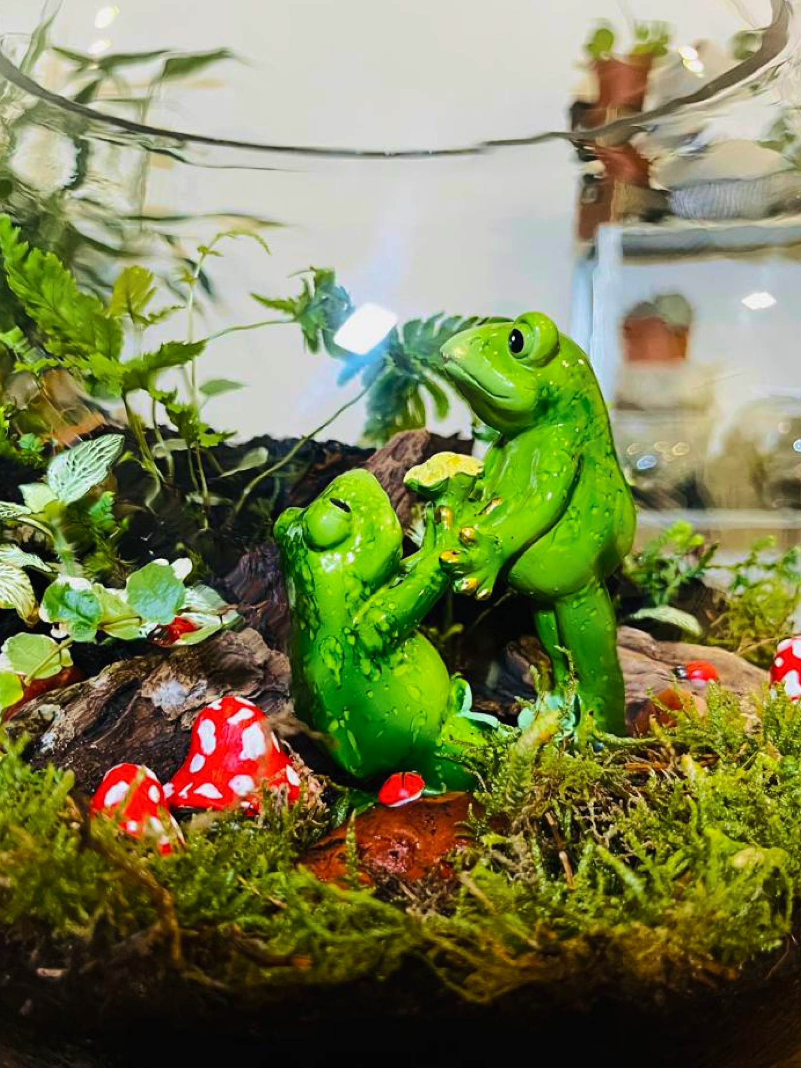 A beautifully layered ecosystem blending ferns, moss, and variegated foliage. Created by Lilli Plants, specialists in the best indoor transformations and the best terrariums in Dubai.