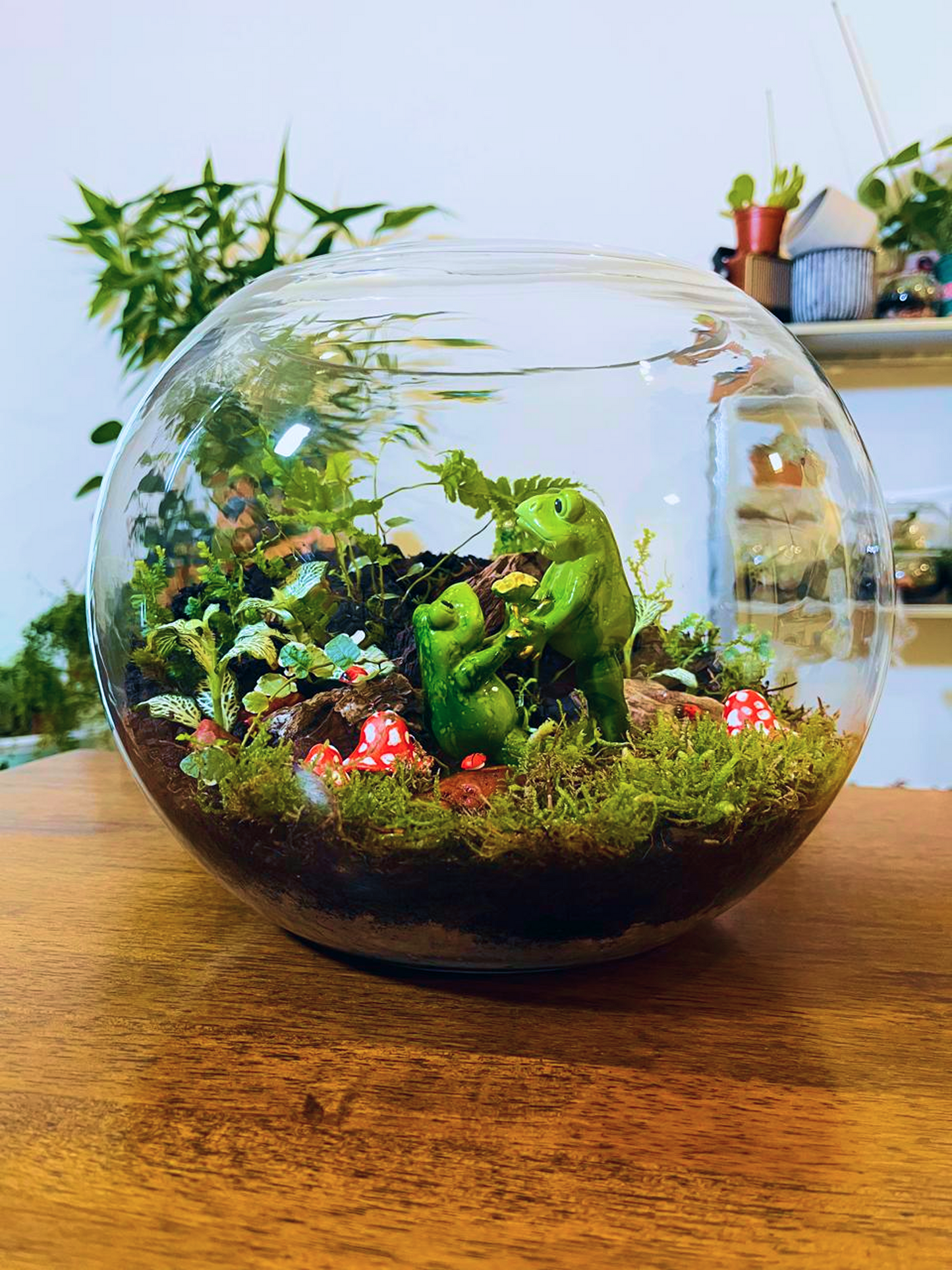 A bespoke glass garden featuring lush miniature plants and artistic detailing. Designed by Lilli Plants, your trusted source for the best indoor plants, terrariums, and Dubai-wide indoor transformations.