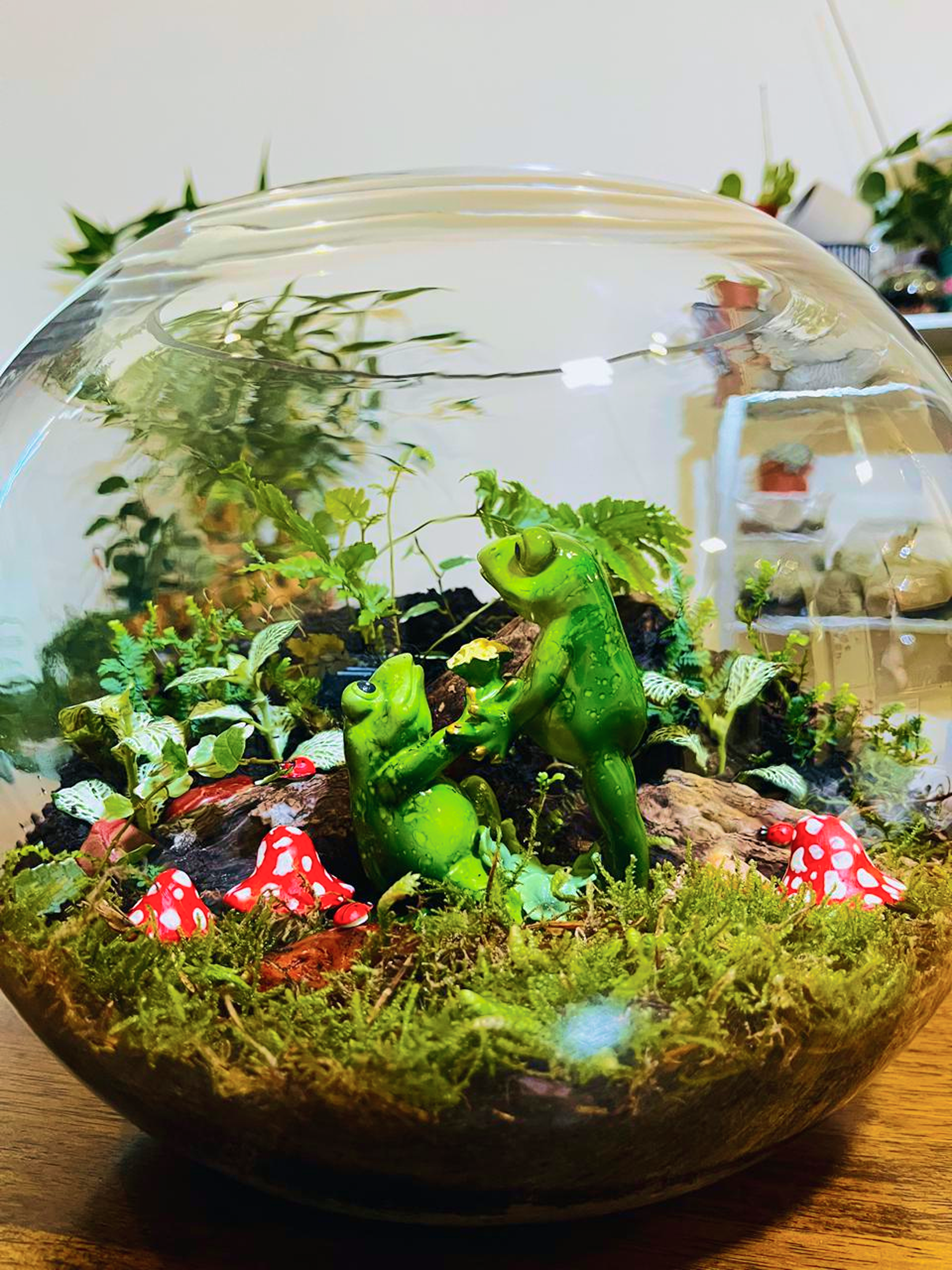 A couple-themed terrarium crafted with Fittonia, Ficus pumila, Selaginella, and ferns. Made by Lilli Plants, known for the best terrariums in Dubai and premium indoor plant creations.