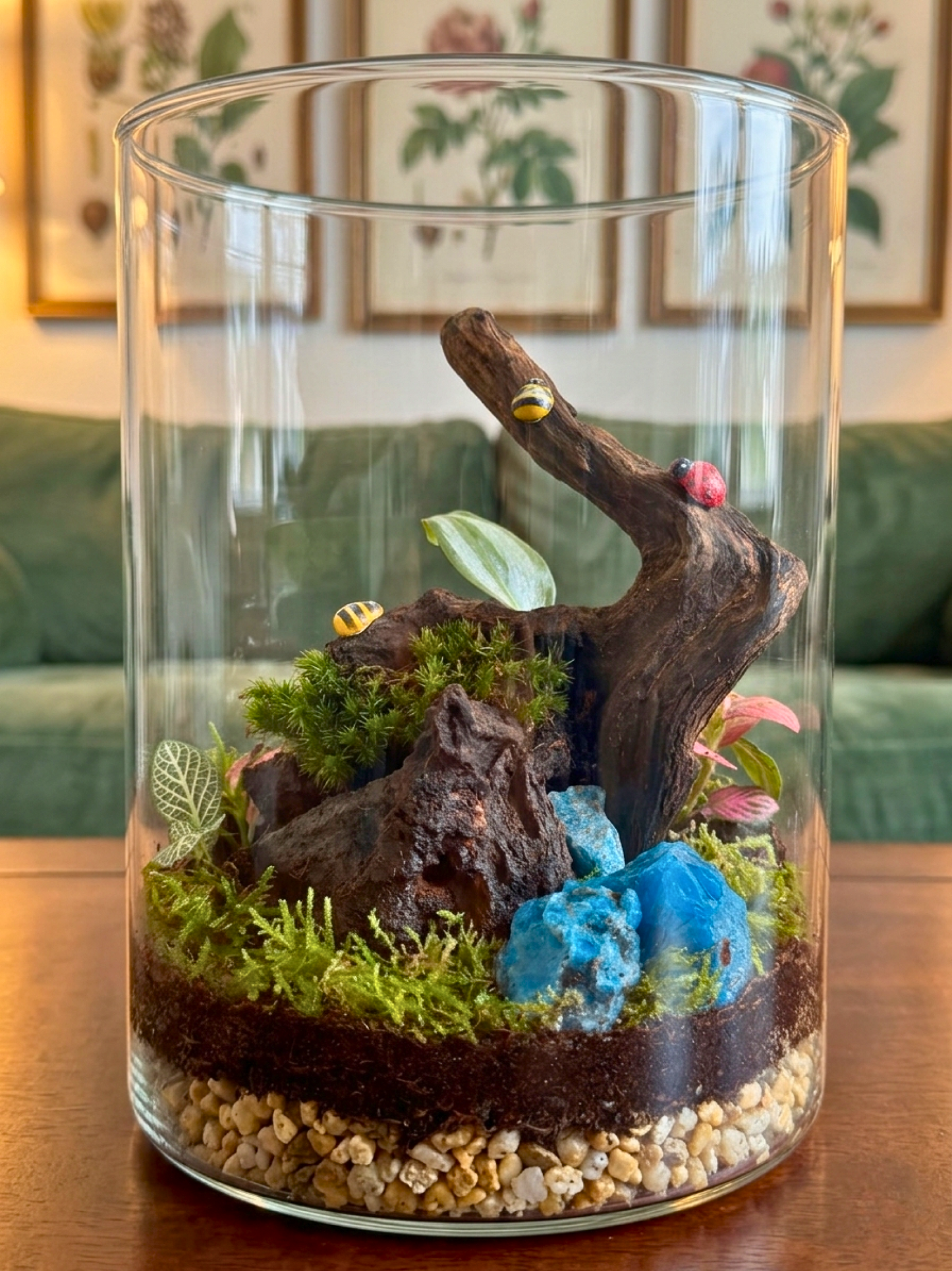 miniature ecosystem with ficus pumila and tradescantia in glass jar