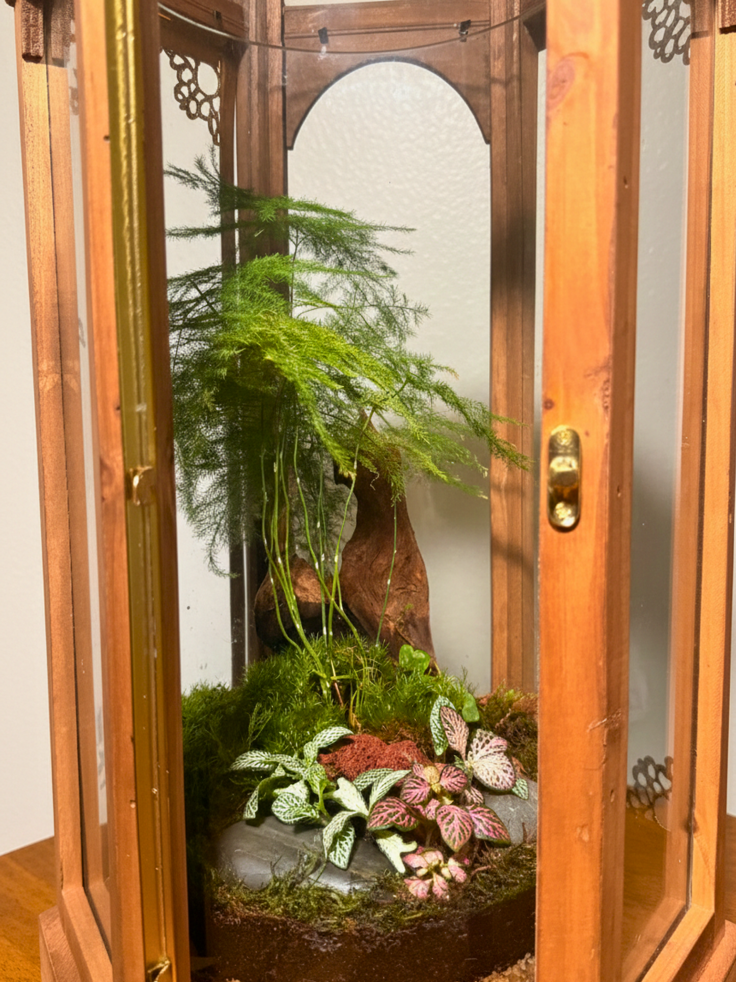 Luxury living moss lantern terrarium with driftwood Ramadan decor UAE