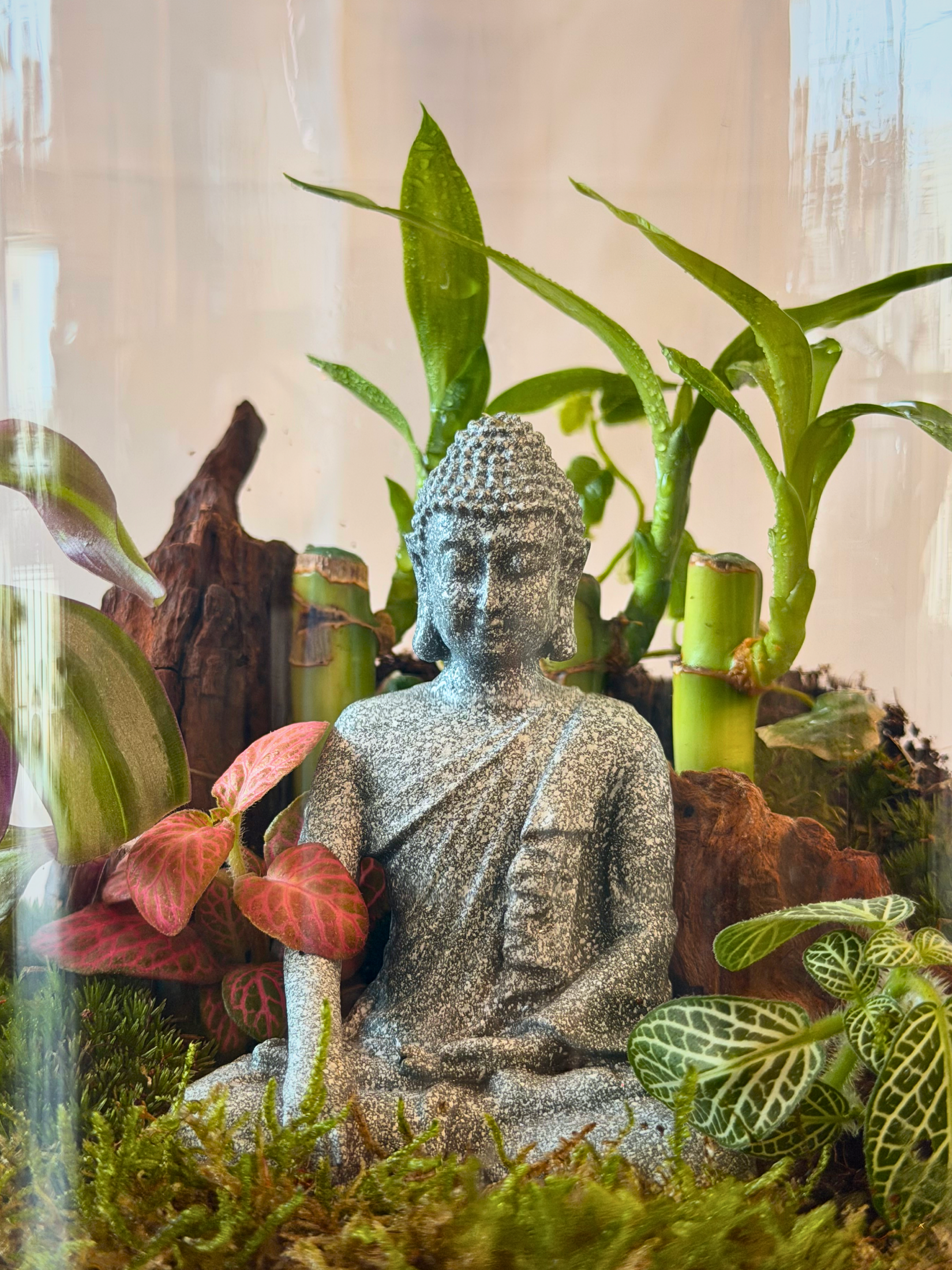 Handcrafted moss terrarium with ficus pumila and tradescantia in UAE