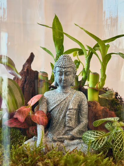 Handcrafted moss terrarium with ficus pumila and tradescantia in UAE